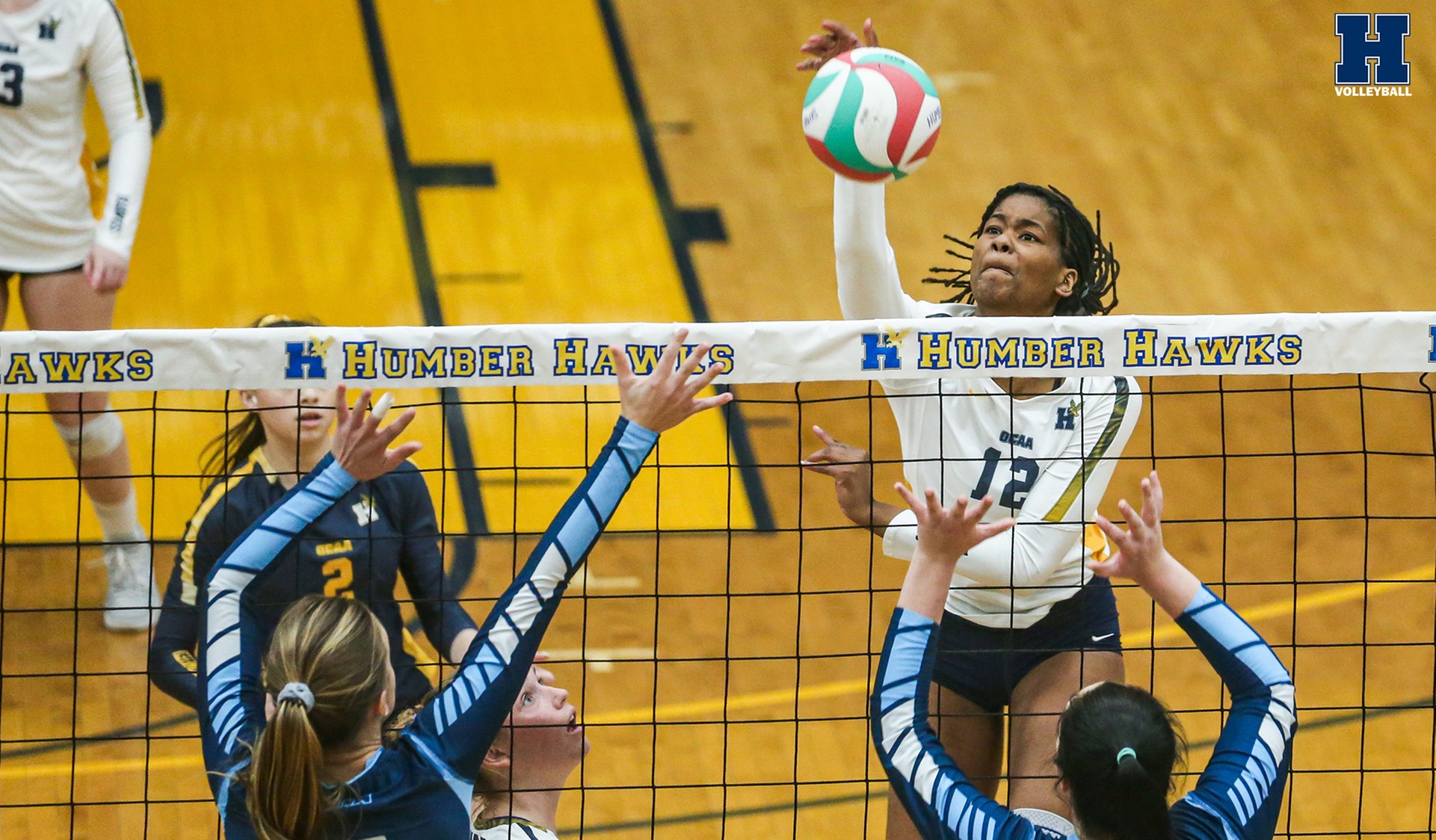 No. 15 Women's Volleyball Extend Streak to Seven With Sweep of Sheridan
